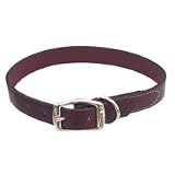 Circle T Leather Collar- 1 width