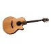 Musical Instruments : EAN40C Acoustic Electric Guitar