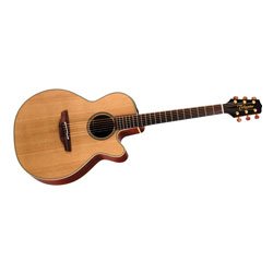 Childrens Toyshop  Musical Instruments : EAN40C Acoustic Electric Guitar