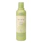 Aveda Be Curly Shampoo (select option/size)