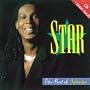 Star: the Best of Sylvester