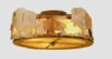 16W Buffalo Flushmount Ceiling Fixture