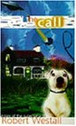The Call and Other Stories (Puffin Teenage Fiction)