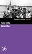 Amerika. SZ-Bibliothek Band 36