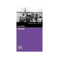 Amerika. SZ-Bibliothek Band 36