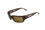 DSO "BOOST" -Shiny Tort frame/ Amber lens -polarized