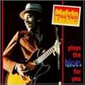Melvin Taylor Plays the Blues for You