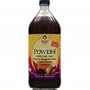 Genesis Today POWER4 -- 32 fl oz