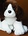 Plush Springer Spaniel Puppy 12