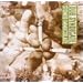 A Beginner's Guide to Adrian Sherwood's On-U Sound