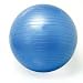 Exercise Ball - Professional 55cm Anti-Burst Ball & Workout Chart