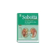 Atlas der Anatomie des Menschen. Einb�ndige Sonderausgabe
