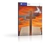 Lifepack Teacher's Guide Bible Part 2