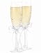 Daisy Toasting Glasses for wedding