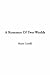 A Romance Of Two Worlds