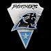 Carolina Panthers Pin - NFL Football Fan Shop Sports Team Merchandise