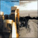 Connection an album by Home Grown