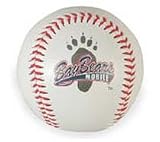 Mobile BayBears Minor League Baseball Fotoball