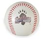 Mobile BayBears Minor League Baseball Fotoball