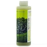Korres Mint Tea Shower Gel 250 ml