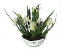 Dollhouse Miniature Artisan White Iris in a Porcelain Bowl