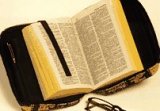 Durable Zippered Book/Bible Cover: Tapestry Fabric, Friendly Felines Pattern for Hardcover