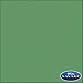 107" x 12yds Background Paper (#35 Holly)