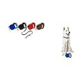 Petmate Walkabout Retractable Belted Leash for Dogs up to 110 Pounds, 16 Feet, Large, Blue
