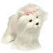 webkinz Rockz!