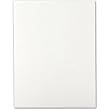 Crane's Crest Fluorescent White 32lb. #10 Envelopes