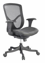 Fuzion Ergonomic Mesh