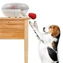 KONGTime - Doggie Day Care in a Box