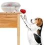 Dog Kong Auto Dispenser 1