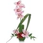 Flowers - Opulent Orchids