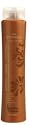 BRAZILIAN BLOWOUT Acai Anti Frizz Shampoo 12oz