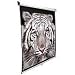 80IN Diag Manual Pull Down Electric Matte White