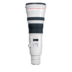 Canon EF 800mm f/5.6L IS USM Super Telephoto Lens for Canon Digital SLR Cameras