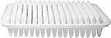 Hastings Filters AF1074 Air Filter