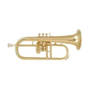 Amati AFH 201-O Bb Flugelhorn by