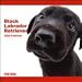 Black Labrador Retriever 2009 Wall Calendar