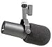 Shure SM7B Microphone with Switchable Response