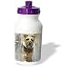 Dogs Border Terrier - Border Terrier - Water Bottles