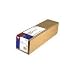 Epson Premierart Water Resistant 17 Inch x 10 Feet Canvas (SP91221-S)