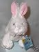 Lil Kinz Webkinz White Rabbit Virtual Pet by Ganz