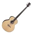 Dean Acoustic/Electric Bass Satin Finish