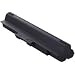 Sony VAIO VGP-BPL13 Extended Battery (Black)
