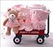 Beary Ballerina Baby Wagon - Standard Shipping Only - Bits and Pieces Gift Store