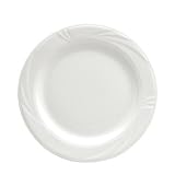 ARCADIA PLATE 9 7/8, CS 2/DZ, 07-0354 ONEIDA LTD SILVERSMITHS CHINA PORCELAIN