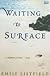 Waiting to Surface: A Novel