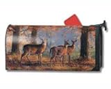 Magnet Works, Ltd. Deer MailWrap